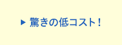 驚きの低コスト！