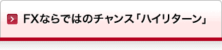 FXならではのチャンス「ハイリターン」